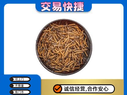 昆明禄劝县礼品回收虫草.jpg